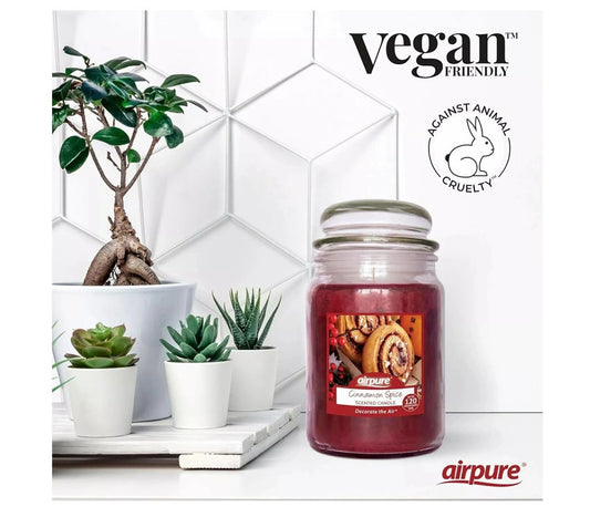 Airpure Large Jar Scented Candle Cinnamon Spice 510g
