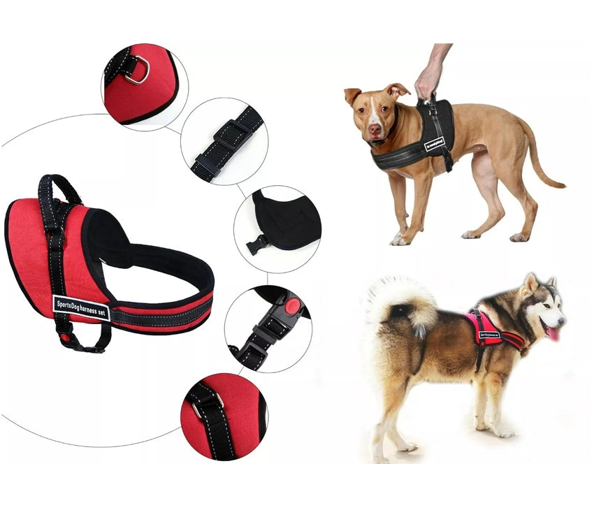 Heavy duty dog harness shops