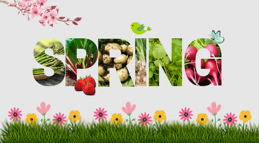 Embracing-the-Flavours-of-Spring-A-Look-At-UK-s-10-Seasonal-Foods-To-Enjoy-This-Spring