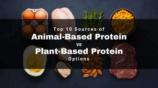 animal protein