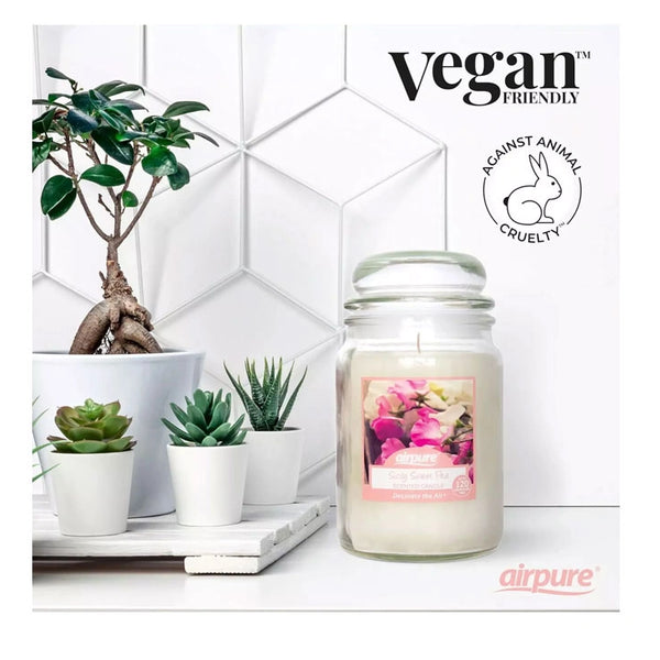 Airpure Sicily Sweet Pea Scented Jar Candle - 510gm