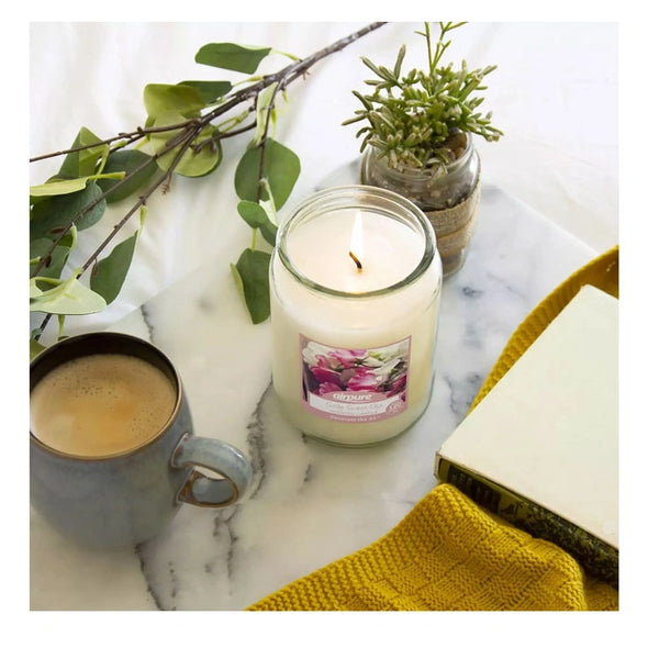 Airpure Sicily Sweet Pea Scented Jar Candle - 510gm