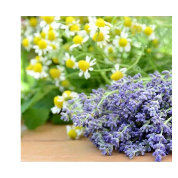 Derma V10 Pillow Spray, Lavender Oil, Chamomile and Rosemary Extract, Reduces Stress and Anxiety Vegan Friendly