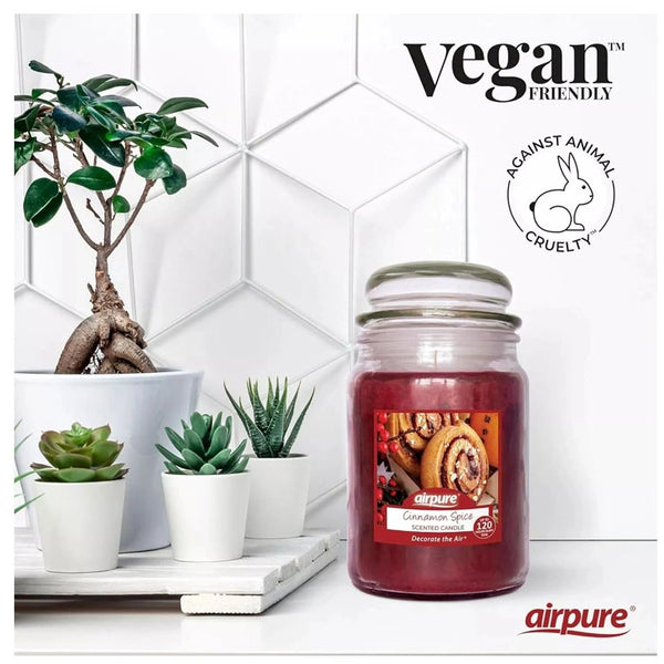 Airpure Large Jar Scented Candle Cinnamon Spice 510g