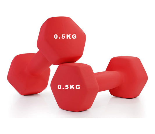 Hex Neoprene Weights Dumbbells Set Pair (0.5 kg) Dumbbell Set, Hand Weights Set for Women Men, Home Gym Workout