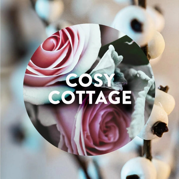 AirWick Plug In Twin Cosy Cottage - 19ML