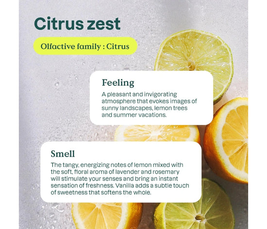 stonish Floor Cleaner - Zesty Lemon Scent, 1L