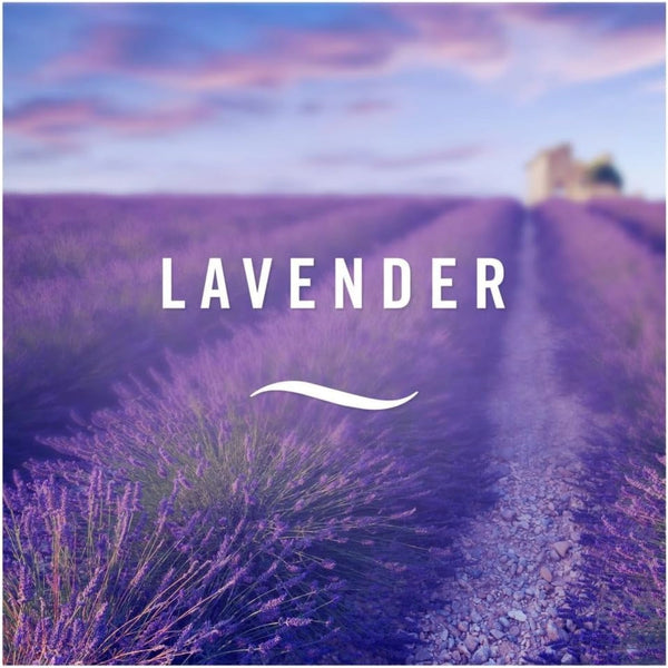 Ambi Pur Refill 3volution Lavender Sensation - 20ml