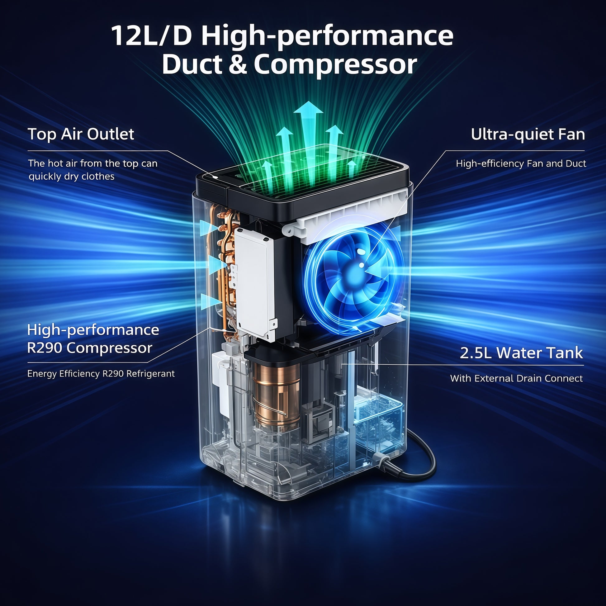 12L/Day Dehumidifier for Home Damp, 2.5L Tank, Digital Humidity Display, 1–24H Timer, R290 Compressor, Auto Defrost, Child Lock, Continuous Drainage, Filter, Handle & Casters