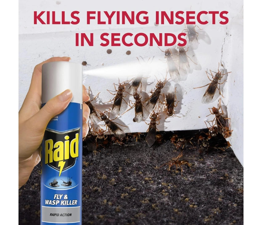 Raid Rapid Action Fly & Wasp Killer – 300ml