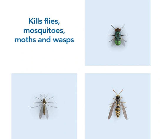 Raid Rapid Action Fly & Wasp Killer – 300ml