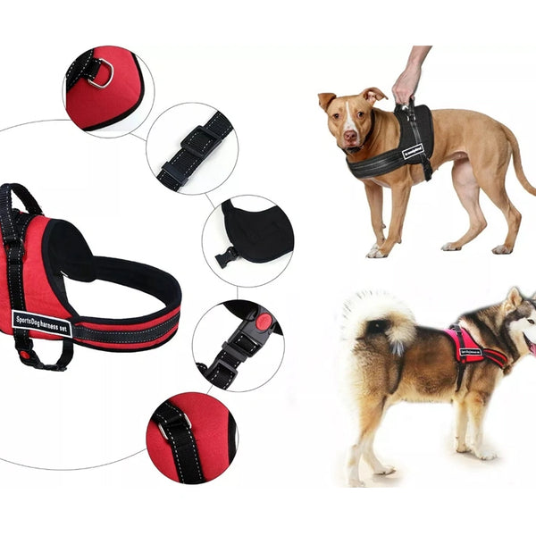 Heavy Duty Dog Harness for Pitbulls , Mastiffs, & More- Ideal for Training