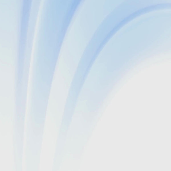 12L/Day Dehumidifier for Home Damp, 2.5L Tank, Digital Humidity Display, 1–24H Timer, R290 Compressor, Auto Defrost, Child Lock, Continuous Drainage, Filter, Handle & Casters